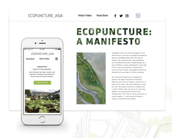 Ecopuncture Project